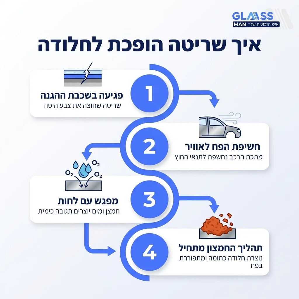 אינפוגרפיקה — איך שריטה הופכת לחלודה: פגיעה בשכבת ההגנה, חשיפת הפח לאוויר, מפגש עם לחות, תהליך החמצון מתחיל